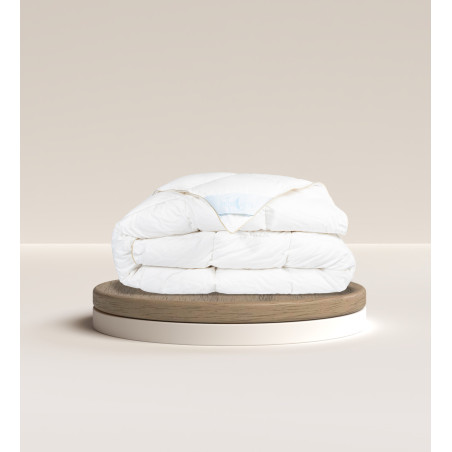 Piumone letto in piumino d'oca Bella di notte | Piumarte srl | Shop